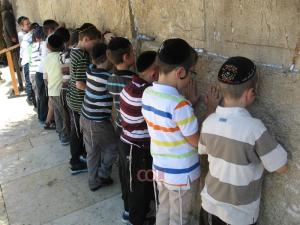 92133_2_10883_1331221561