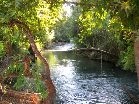 nature_of_israel_by_eddiefurlong-d5k1fxw