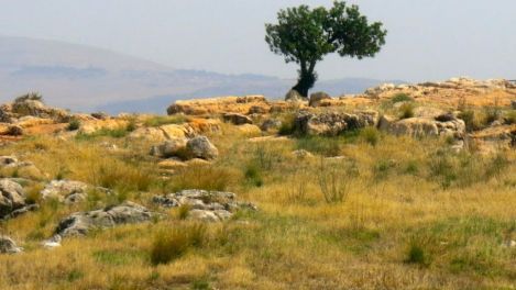 f69e89000eed0aaa55b14237714c17b1