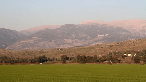 hula-valley-israel-landscape-beautiful-steady-shot-of-hula-valley-israel_n1f8bisse__F0000