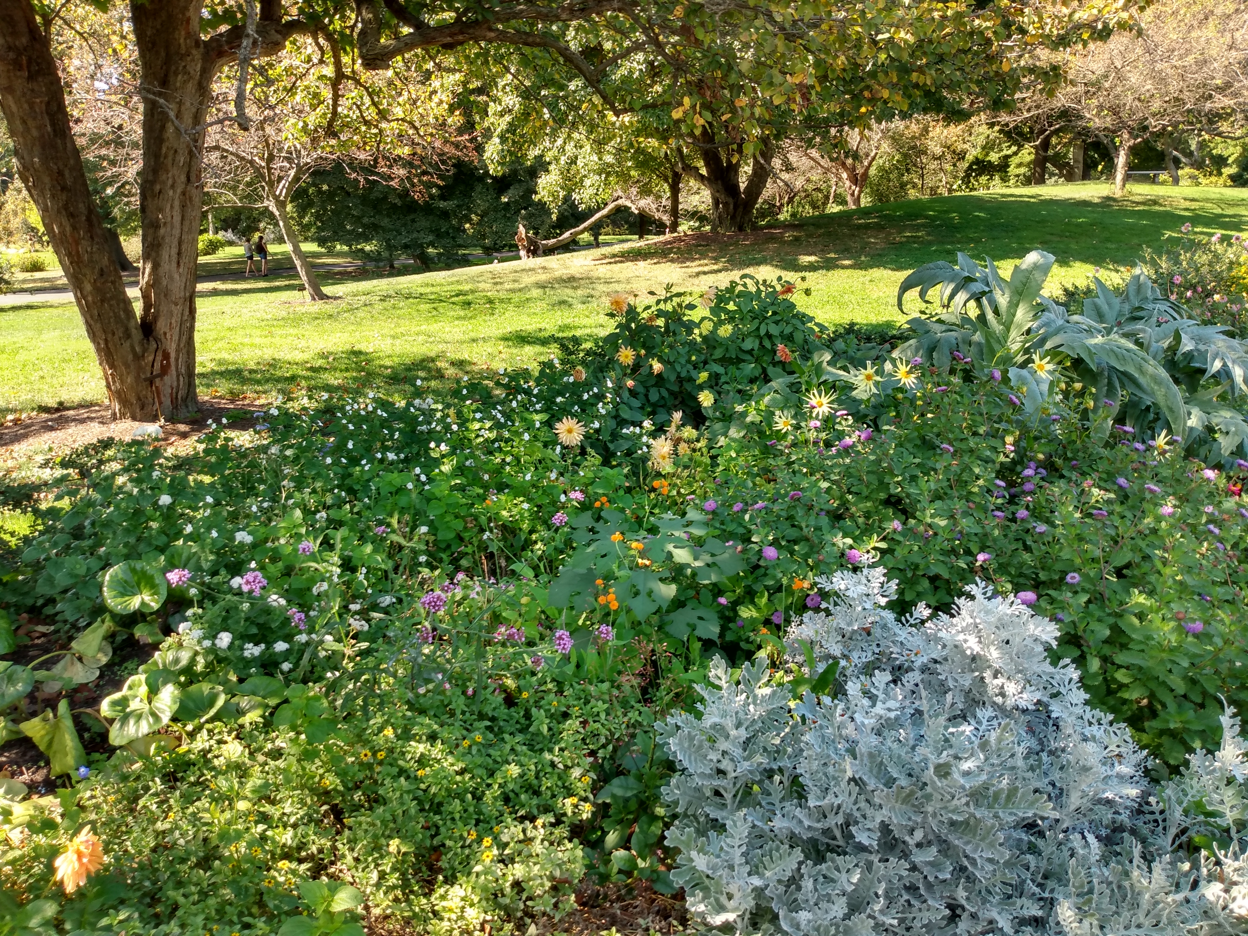 IMG_20190925_140245354_HDR