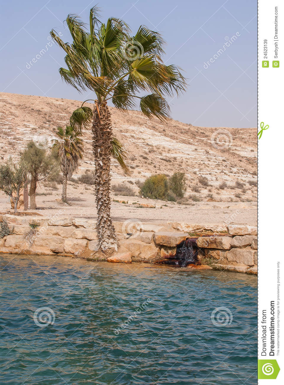 oásis-no-deserto-negev-24523139