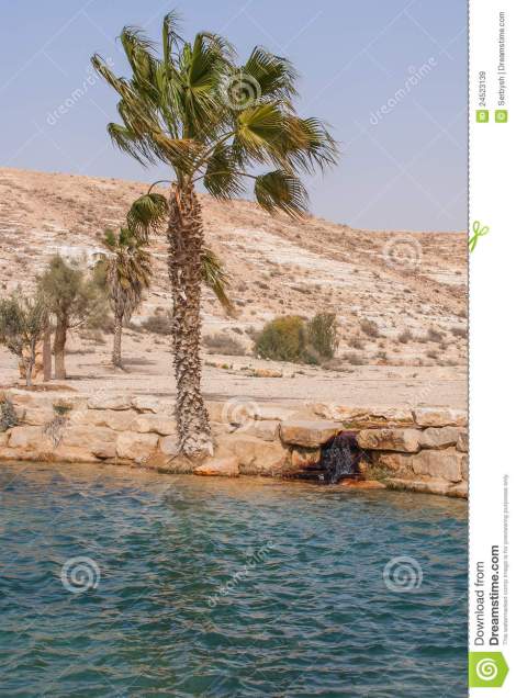 oásis-no-deserto-negev-24523139