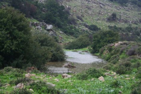 100100000008604_100520000100105_hnNfv3W3DFVjDUWueWD2UwXL4kzlMo9D_SOI_MASTER