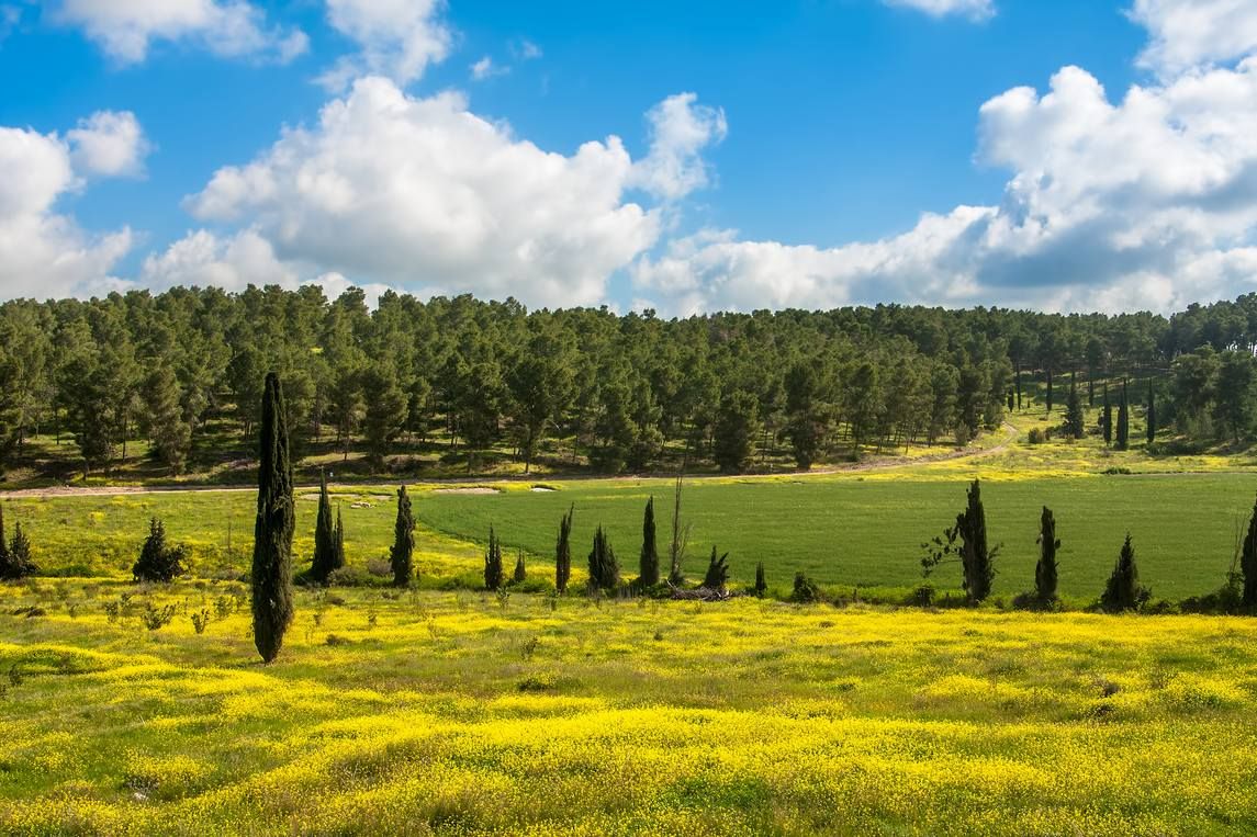 9b2d5436a54ca116787a2cc696779b78