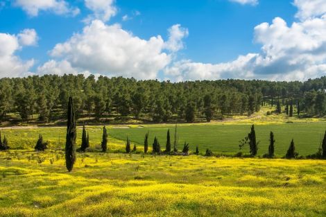 9b2d5436a54ca116787a2cc696779b78